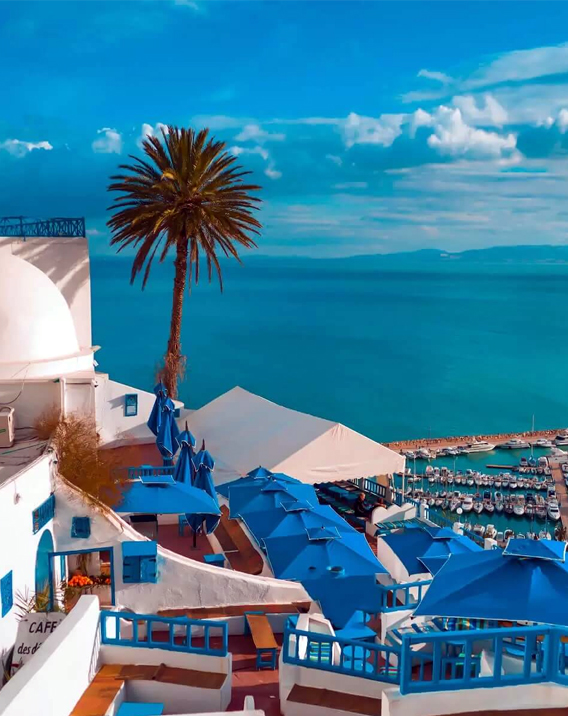 tunis